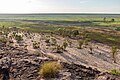 Weaver Federal Nature Reserve in TBD Northwestern Alexandria Territory.