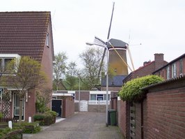 Molenwijk