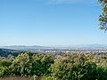 * Nomination View over Cape Flats from Kirstenbosch National Botanical Garden, Cape Town --MB-one 14:48, 28 February 2019 (UTC) * Decline The composition with so much empty blue sky isn´t convincing. It´s also quite hazy and the leaves on the upper right are no good idea. --Milseburg 10:21, 4 March 2019 (UTC)