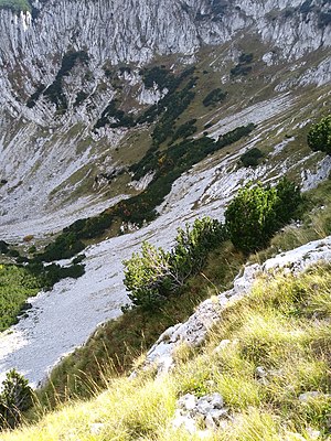 Bjelašnica: Reljef, Klima, Hidrografija