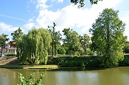 LSG Wallanlagen - Am Kalenberger Graben - Im Sommer (7)