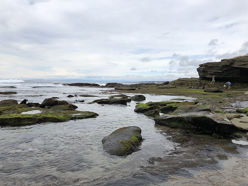 File:La Jolla Cove 29 2019-04-16.jpg