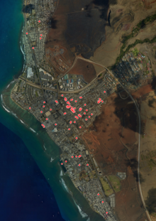 Deaths in Lahaina
Zoomed area near densest quantity of fatalities Lahaina Deaths Overlayed on Damage Imagery.png