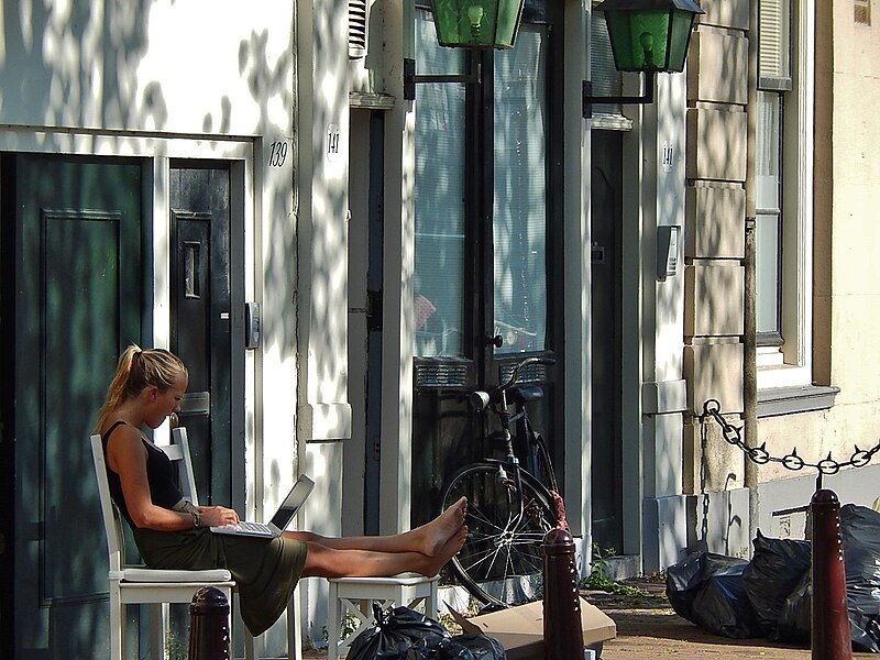 File:Laptop Lady in the Sun (9914070915).jpg