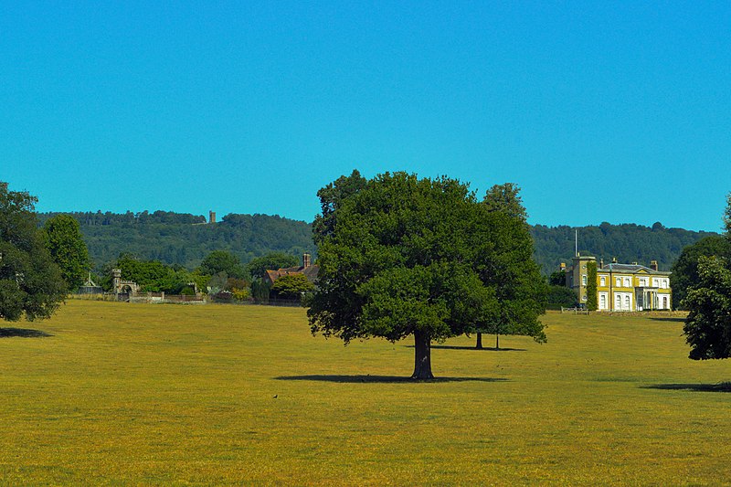 File:Leith Hill Tower & Jayes Park.jpg