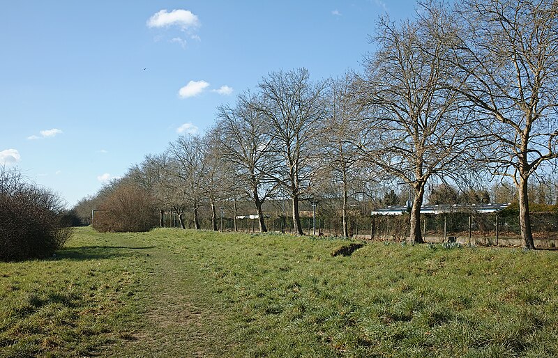 File:Lille terreplein bd de la moselle.jpg