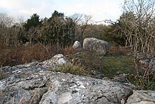 Варовикови камъни, Warton Crag - geograph.org.uk - 1047895.jpg