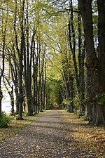 Thumbnail for Natura 2000-område nr. 105 Augustenborg Skov