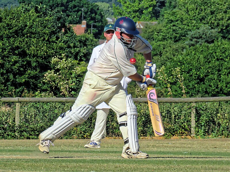 File:Little Hallingbury CC v. Thorley CC at Gaston Green, Essex 116.jpg