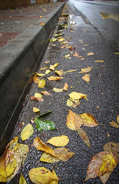 File:Local Yellow Line - panoramio.jpg