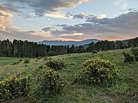 Looking towards the sunset in a meadow on the west side of Round Mountain in the Pecos Wilderness via the Jack's Creek Trail