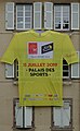 Maillot jaune à la mairie (Mulhouse).jpg