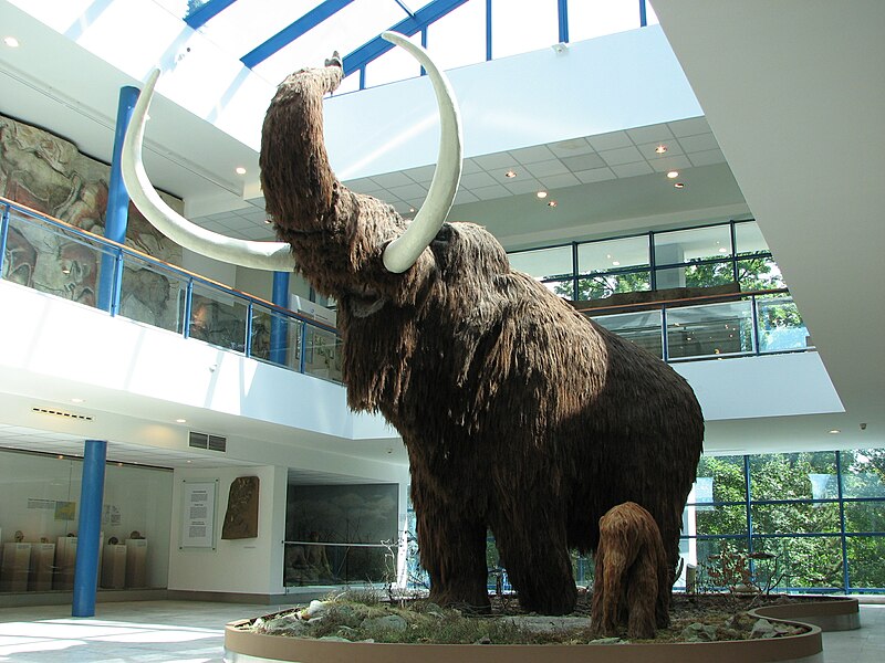 File:Mammoth model 01.JPG