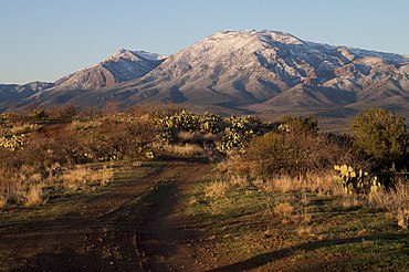 East side of the Mazatzal Mountains, March 2010