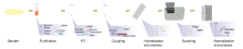 The steps required in a microarray experiment Microarray exp horizontal.svg