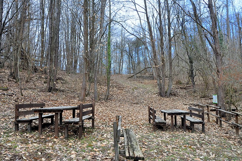 File:Millesimo (Savona) - Parco Naturale Regionale del Bric Tana - Area attrezzata davanti allaTana dell'Orpe.jpg