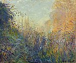 Monet - study-rushes-at-argenteuil.jpg