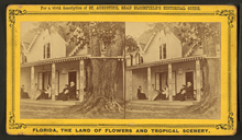 A stereoscope card showing a cottage with five people sitting on the porch and an enormous oak tree growing on the right; the tree is so large it appears to be growing through the roof and the drainpipe wraps around it