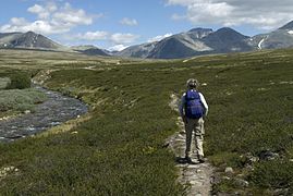 A trail in Rondane