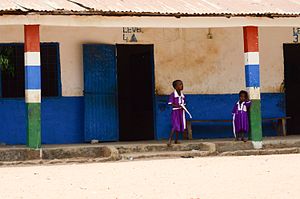 Flag Of The Gambia