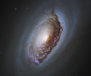 The central area of ​​the spiral galaxy Messier 64, as seen by the Hubble Space Telescope