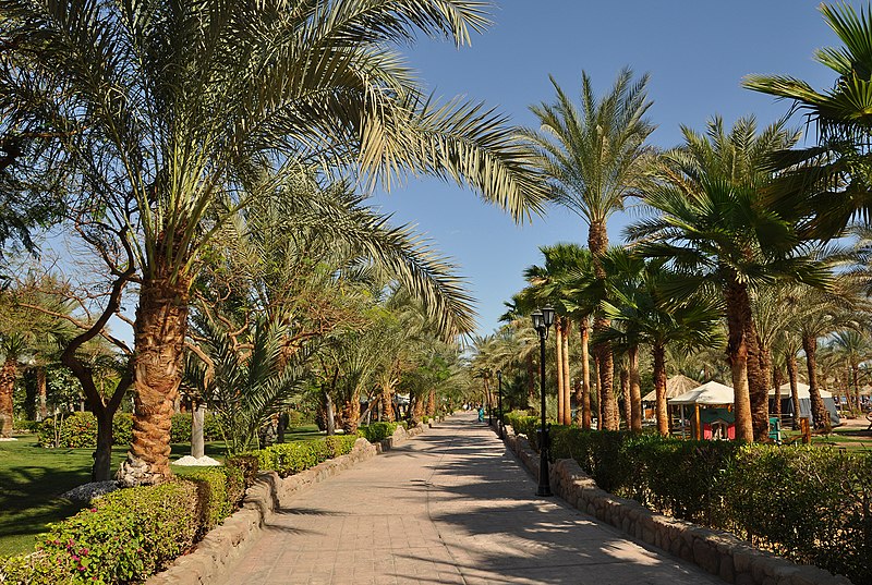 File:Naama Bay Promenade R03.jpg