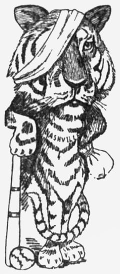 A black and white illustration of a tiger with a bandage around its head standing on its hind legs and leaning on a baseball bat holding a bag in one paw