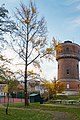 image=https://commons.wikimedia.org/wiki/File:Naturdenkmal_Ginkgo_Pestalozzi-Oberschule_Wurzen-01.jpg