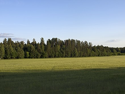 Бор татарстан. Тукаевский район национальный парк 