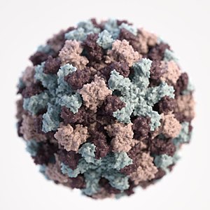 Norovirus virion 3D NIH 21350 white background