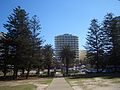 North Cronulla Dunningham Park 1.JPG