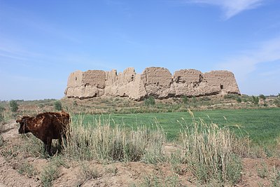 Каласы пад. Берунийский район Каракалпакстан. Каракалпакия Турткуль. Нукус. Каракалпакия Янгибазар.