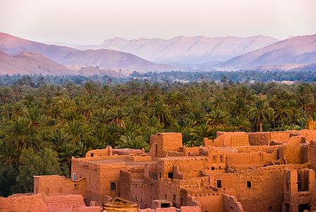 Oasis in Morocco