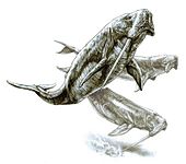 Odobenocetops, an extinct whale with a long single tusk