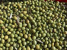 Bosana picked before full ripening