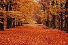 The park is beautiful the year round. Fall gives an overwhelming array of colours to the forested areas, while proper winters cover the entire park in a thick undisturbed layer of snow.