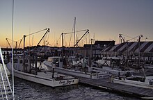 Working crab and oyster boats Oyster Boats.jpg