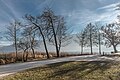 * Nomination Winterly trees at the peninsula promenade, Poertschach, Carinthia, Austria --Johann Jaritz 02:34, 7 January 2017 (UTC) * Promotion  Support Good quality.--Agnes Monkelbaan 05:36, 7 January 2017 (UTC)