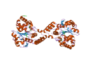 2gwh: Human Sulfotranferase SULT1C2 in complex with PAP and pentachlorophenol