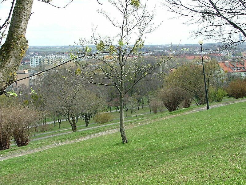 File:POL Chelm Park XXX-lecia.JPG