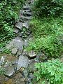 Čeština: Potok v přírodní památce Na Stříbrné v okrese Benešov, Středočeský kraj. English: Stream in the natural monument Na Stříbrné, Benešov District, Central Bohemian Region, Czech Republic.