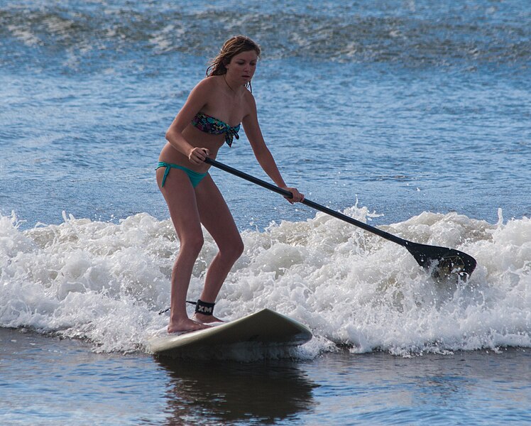 File:Paddle surfing in Hanalei Bay (8034673156).jpg