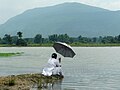 Panchet Lake, Jharkhand, India.jpg