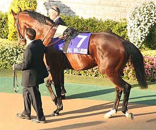 <span class="mw-page-title-main">Papal Bull (horse)</span> British-bred Thoroughbred racehorse