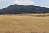 Djebel Zaghdoud National Park 02.jpg