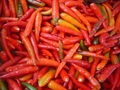 Peppers dsc07818.jpg, located at (3, 16)