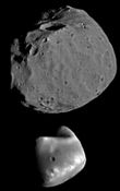Phobos (yllä) ja Deimos (alla) oikeassa kokosuhteessa