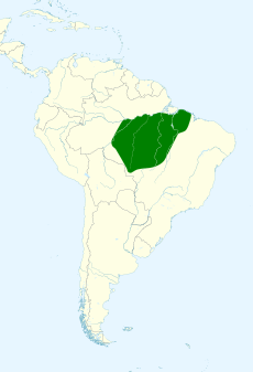 Pionites leucogaster map.svg