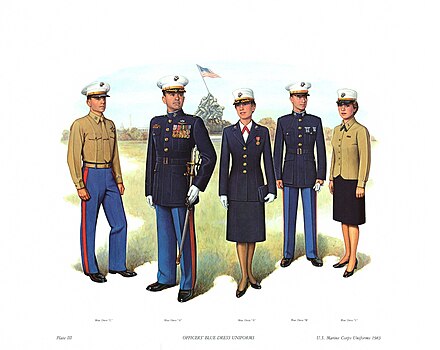 Officer Blue Dress Uniform. From left to right: "C","A","A","B","C". The female "A" uniforms include the since-discontinued open-collar coat, which was superseded by a stand-collar coat in 2018.