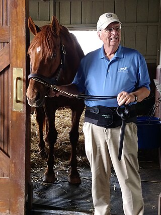 <span class="mw-page-title-main">Point Given</span> American-bred Thoroughbred racehorse (1988–2023)